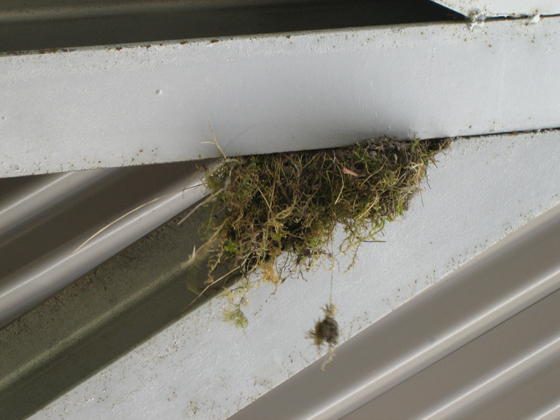 Info Pavilion, Lough Boora Sculpture Park