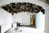 Clop, Birr Arts Festival