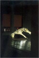 Dead Horse, LA & NYC