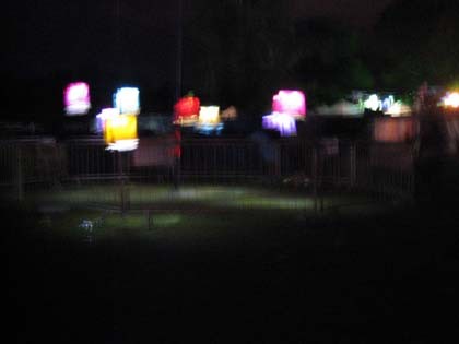 Dong, The Electric Picnic, Co. Laois
