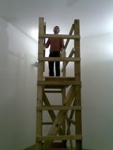 Scaffold