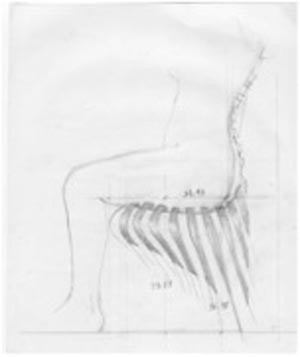 Skeletal Chair